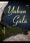 Yaban Gülü